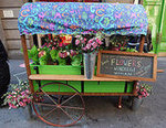 C. Wonder Flower Cart