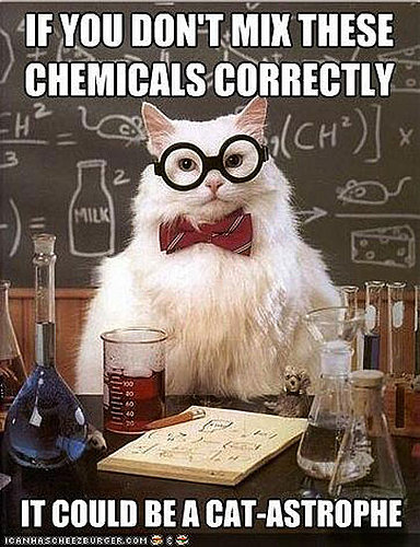 Chemistry Cat Chemistry Cat