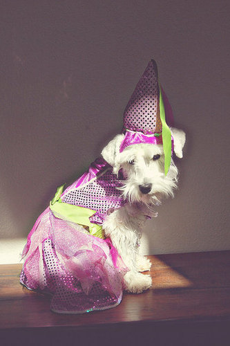 princess yuki
