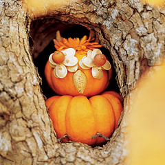 Ways to Use Pumpkin Seeds
