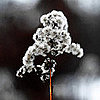Winter Perfume Tips