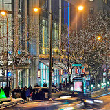 Chicago's Best Shopping Streets