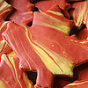 Fall Leaf Iced Sugar Cookies
