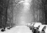 The Calm Right After a Snowstorm