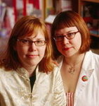 2011 Gift Guide: Holiday Tips From the Paper Dolls