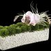 Ovando Orchid Arrangement