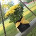 Chalkboard Wood Vase ($10)