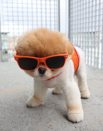 The Future's So Bright The Future's So Bright