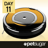 PetSugar Roomba Giveaway
