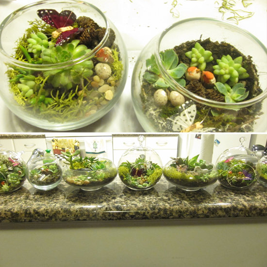 How to Make Terrariums How to Make Terrariums