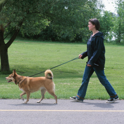 The Best Thing You Can Do to Improve Health: Get Moving