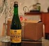 Best Christmas Beers