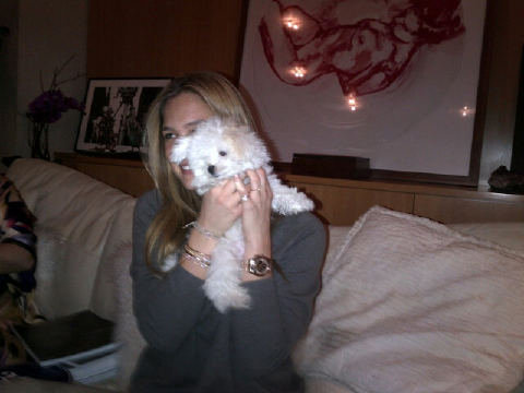 Puppy Love Puppy Love