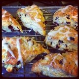 Cranberry Orange Scones Cranberry Orange Scones