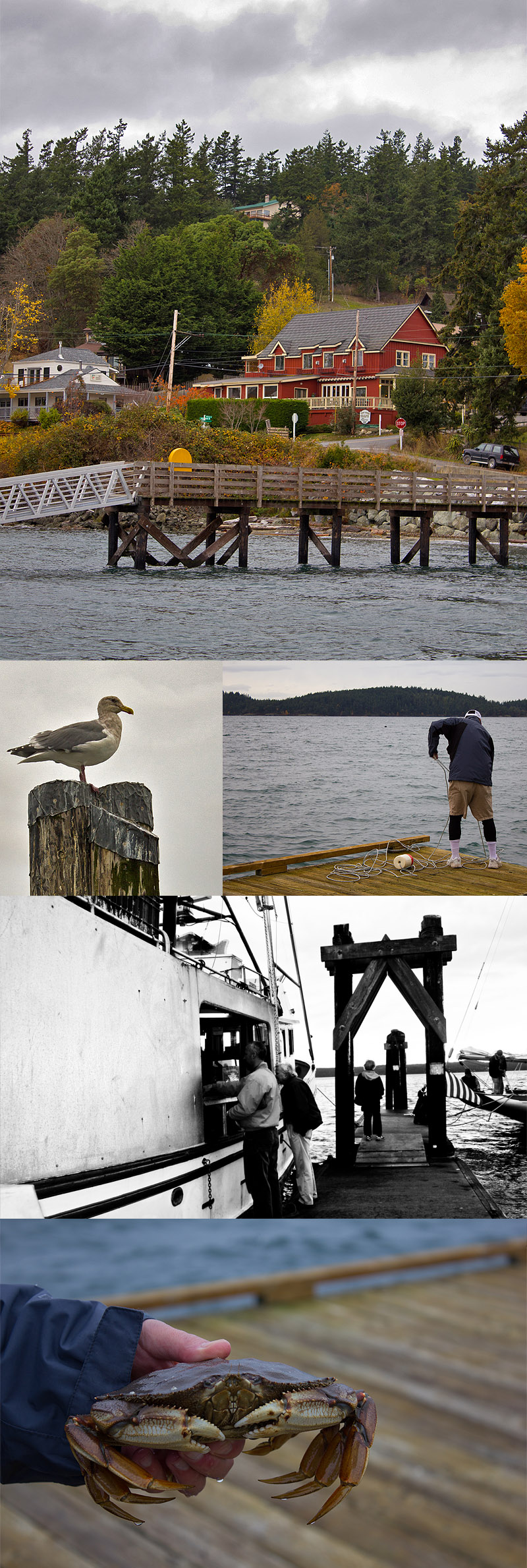 Dock Crabbing on Orcas Island