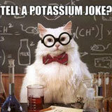 Best Memes, Smartphones, and Tablets of 2011