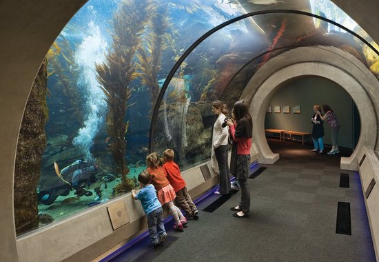 California Science Center California Science Center