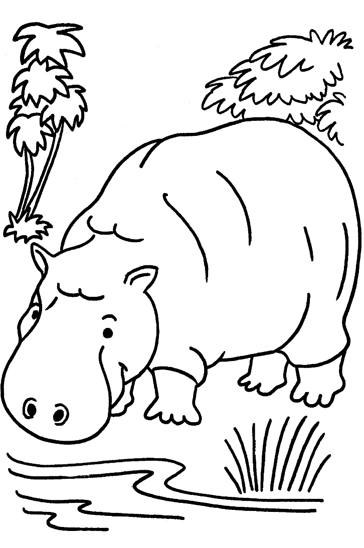 safari animals coloring pages - photo #47