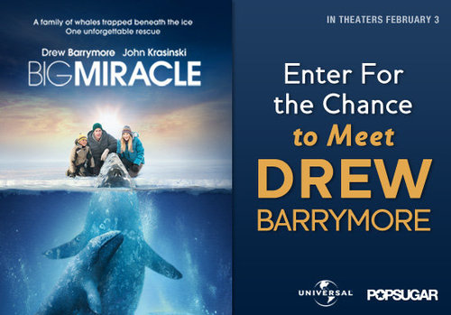 Enter For a Chance to Meet Drew Barrymore!