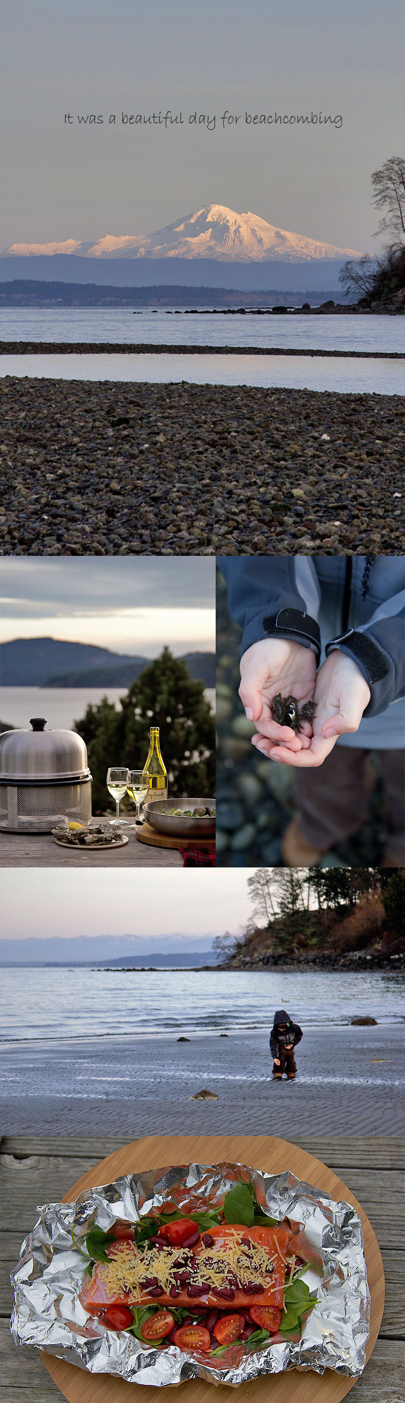 Beachcombing on Orcas Island