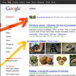 Google Adding Google+ In Search Results