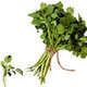 10 Foods to Help You Detox