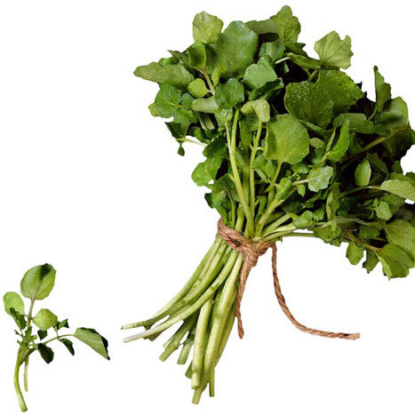 10 Detox Foods