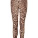 Maternity Leopard Legging - Skirts & Pants - Maternity - Apparel - Topshop USA