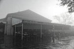 Cafe Du Monde