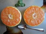 Grapefruit Brûlée 