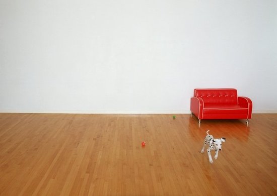 mi galeria