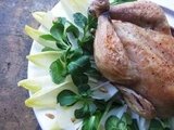 Cornish Game Hens & Endive Salad