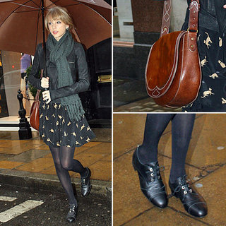 Taylor Swift's Cat Print Dress