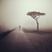 Photography as a Form of Exercise 