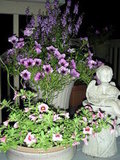 Container garden vignette