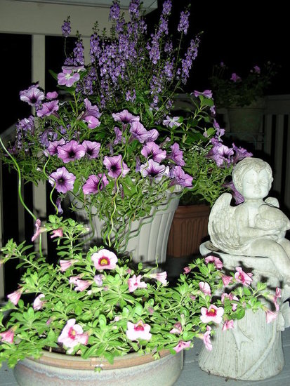 container gardens on backyard deck
