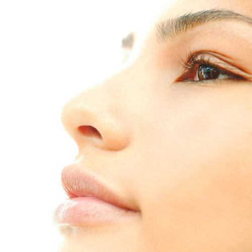 Perfect Brows Perfect Brows