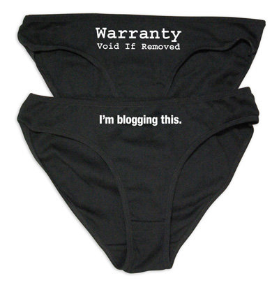I'm Blogging This Panties ($8)