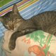 Laurice2294906