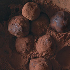 Basic Chocolate Truffle Recipe