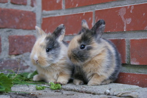 Did we make you do a double take?
Source: Flickr user jpockele
Did we make you do a double take?
Source: Flickr user jpockele