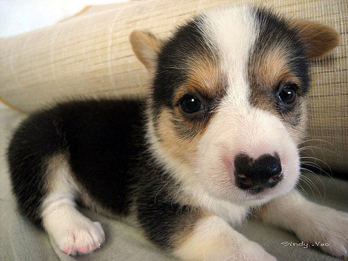 Sorry, I must have dozed off.
Source: Flickr user sⓘndy°
Sorry, I must have dozed off.
Source: Flickr user sⓘndy°