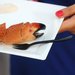 Stone Crab