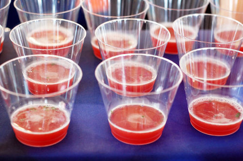 Pomegranate Prosecco Cocktail Pomegranate Prosecco Cocktail