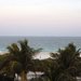 Welcome to Miami