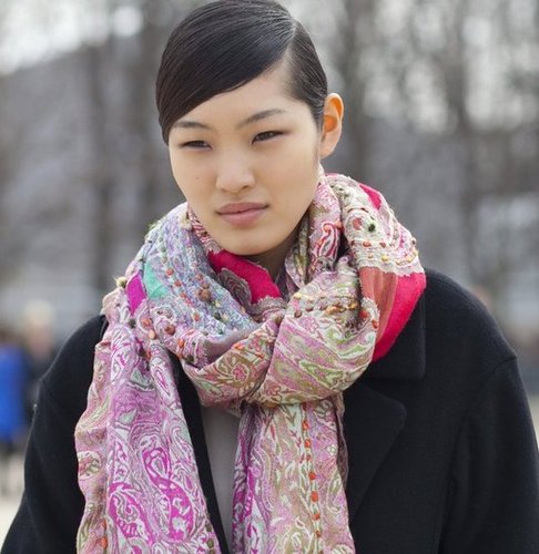 Paris Fashion Week Street Style Fall 2012 Paris Fashion Week Street Style Fall 2012