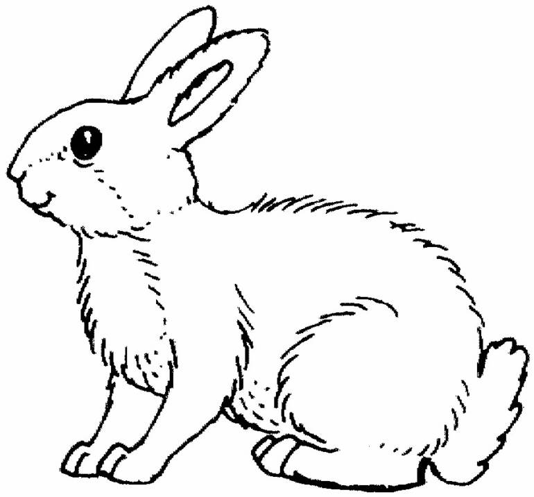 coloring book bunny