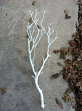 Paper Pom Poms and Gold Branches