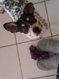 Play time