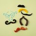 The Land of Nod Classic Mustache Kit 